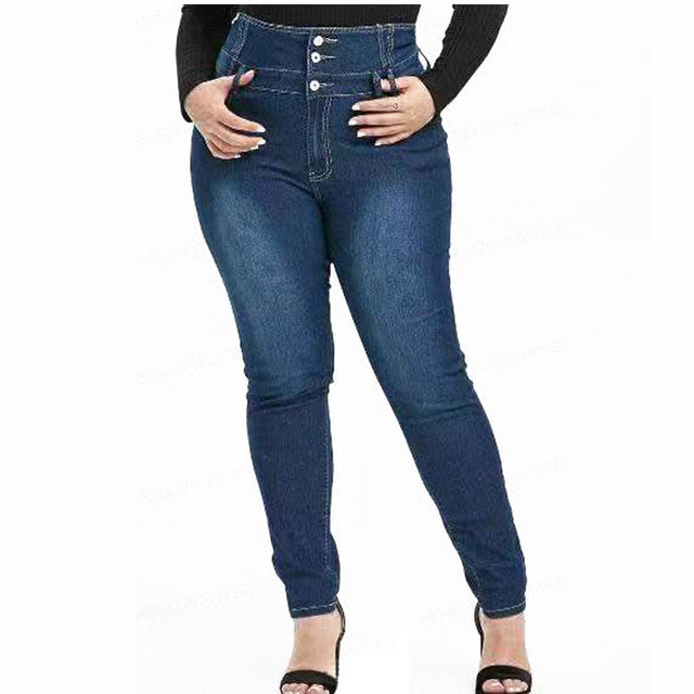 Plus Size Women's High Waist Stretch Slim Fit Jeans