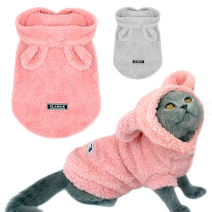 Dog Apparel and Accessories