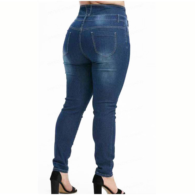 Plus Size Women's High Waist Stretch Slim Fit Jeans